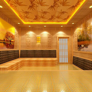 汗蒸房項(xiàng)目-齊先生